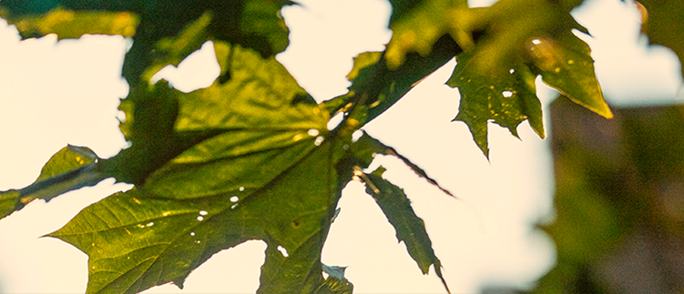 tarjoukset_header_img3_1-3.png